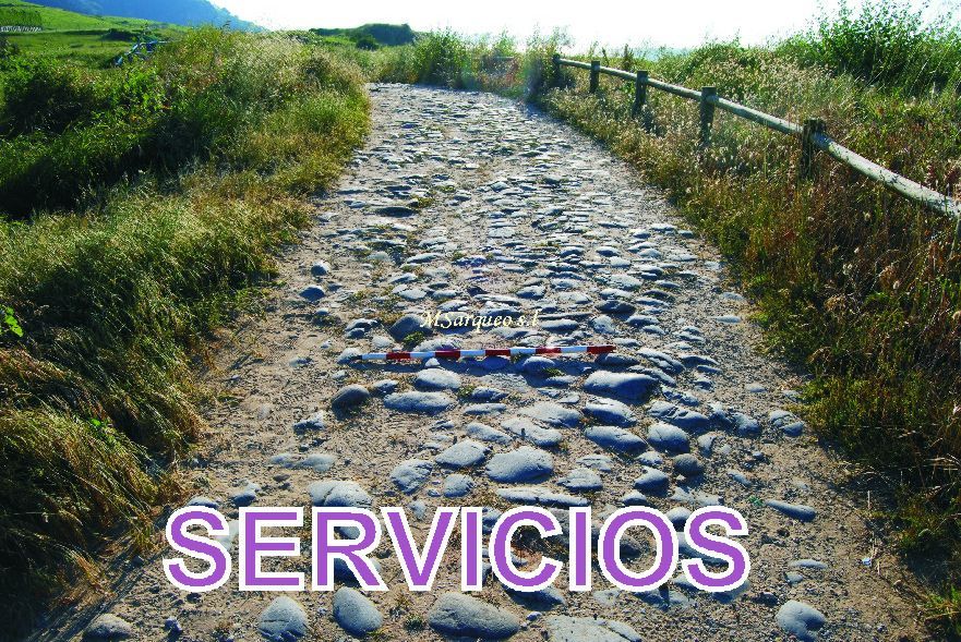 Servicios