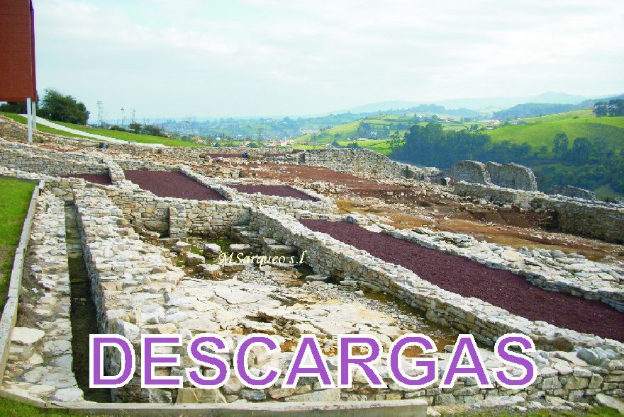 Descargas