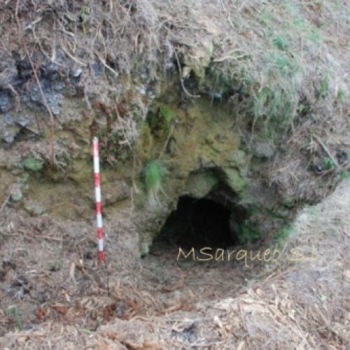 Acceso a Fortificaciones de la Guerra Civil Española en el Monte Bufarán