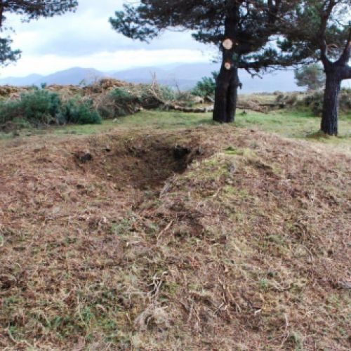 Detalle Necrópolis tumular de la Sierra de Tineo