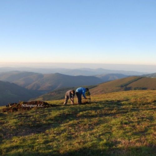 Trabajos en Campamento romano de L´Outeiro Zarrado