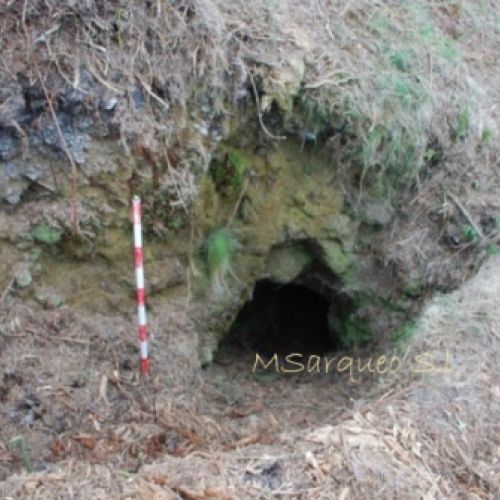 Acceso a Fortificaciones de la Guerra Civil Española en el Monte Bufarán