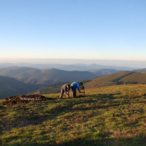 Trabajos en Campamento romano de L´Outeiro Zarrado