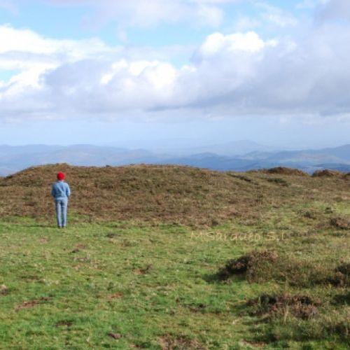 Vista Necrópolis tumular en Asturias