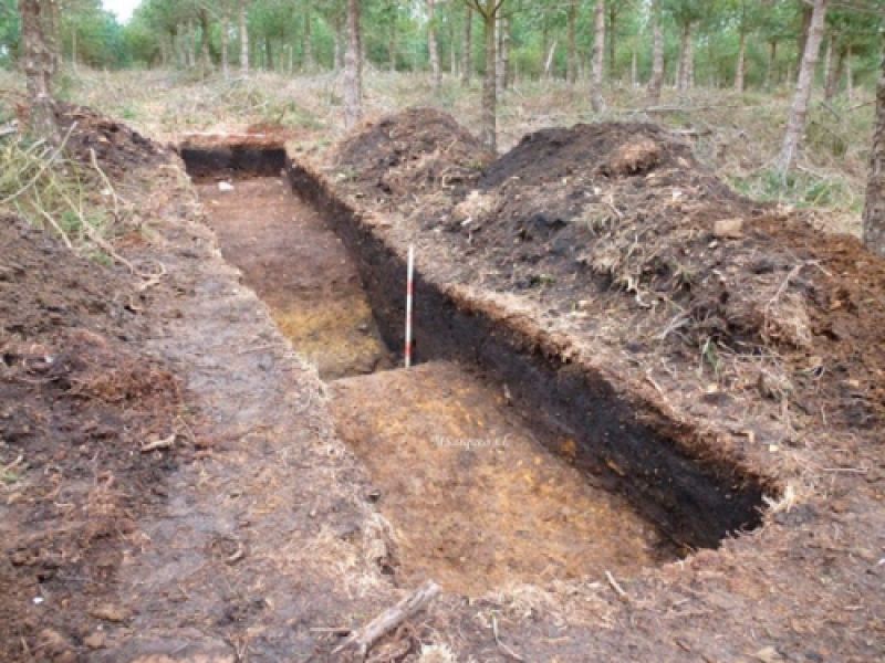 excavaciones arqueológicas