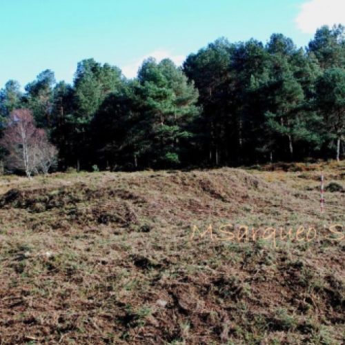 Necrópolis tumular de la Sierra de Tineo