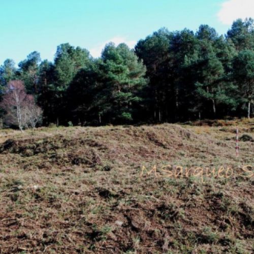 Necrópolis tumular de la Sierra de Tineo